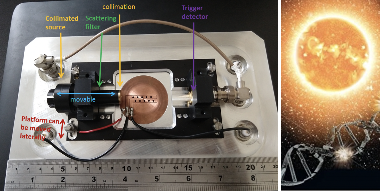 Space Radiation Research
