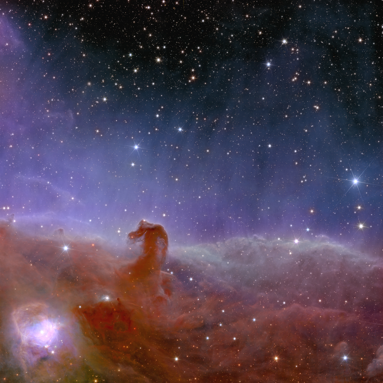 Horsehead Nebula by Euclid