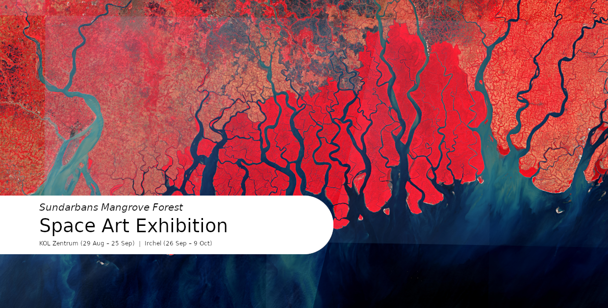 Sundarbans Mangrove Forest