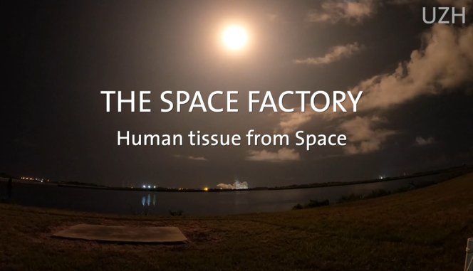 The Space Factory